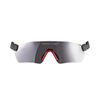 Protos Integral Safety Goggles for Helmet System, gray