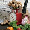 dalton american kitchen scale red