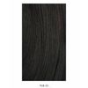 Freetress Equal Synthetic Wig - Kim - P1B/33