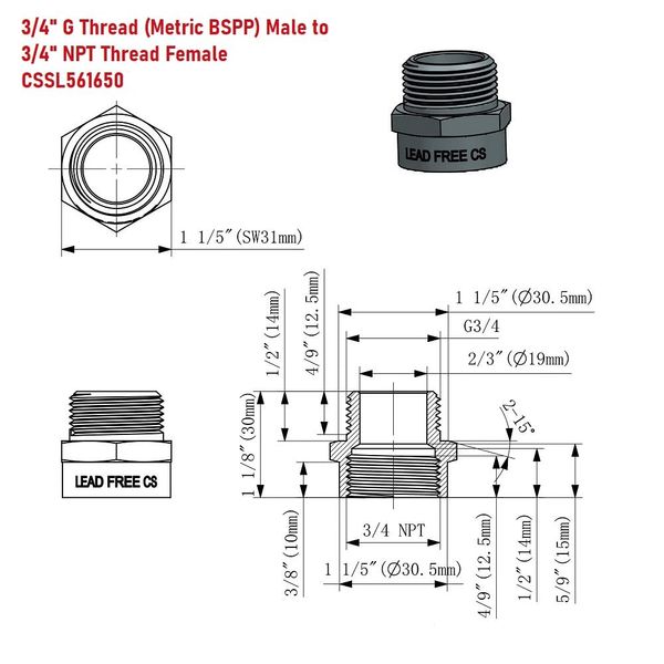 G Thread (Metric BSPP) Male to NPT Thread Female Pipe Fitting Adapter - Lead-Free Adapter (3/4 inch)