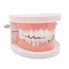 Angzhili 1 Pack Temporary Tooth Decoration with Metal Wires,Metal Bracket and Orthodontic Ligature Ties,Practice Props for Dental Students,Orthodontist Explain Props