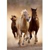 Clementoni Running Horses Puzzle (1000-Piece)