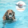 GiGwi Dog Toy Pop Pal S
