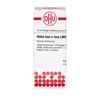 Hekla lava e lava LM VI DHU Dilution, 10 ml Lösung