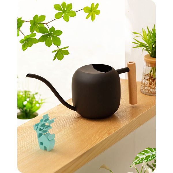 Baffect Indoor Watering Can, 1.2L/41OZ Stainless Steel House Bonsai Watering Can with Wooden Handle, Metal Garden Watering Can with Long Spout for Small Pot Plants and Flowers (Black)