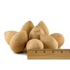 Dried Egg Gourds for Crafting box of 25
