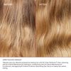 HAIRパーフェクNº3100ミリリットル