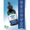 Ionic Magnesium Liquid 4 Oz | Trace Minerals & Electrolytes | by Nature's Truth