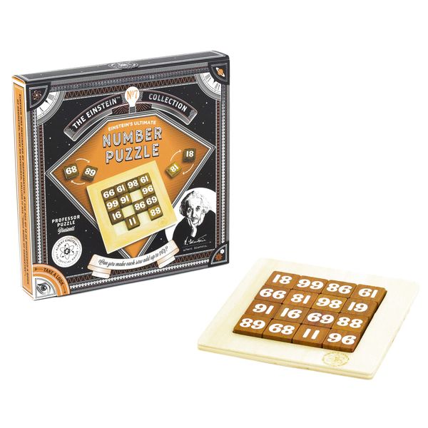 Professor PUZZLE Einstein's Number Puzzle 3D Brain Teaser Puzzle