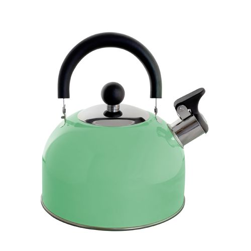 Lily's Home 2 Quart Stainless Steel Whistling Tea Kettle, the Perfect Stovetop Tea and Water Boilers for Your Home, Dorm, Condo or Apartment. (Pastel Green)