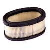 Briggs and Stratton 393725 Filter, Multicoloured, 6 x 6 x 6 cm