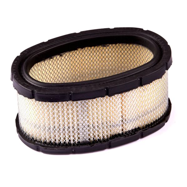 Briggs and Stratton 393725 Filter, Multicoloured, 6 x 6 x 6 cm