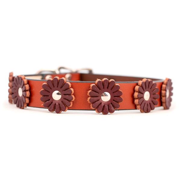 Auburn Leathercraft Flower Collar TAN 1" x 26"