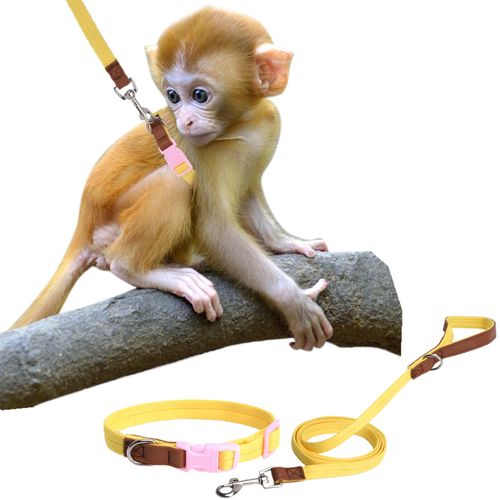 SoeKoa Mini Monkey Leash, Adjustable Monkey Strap with Belly Bands and Matching Leash for Marmoset Monkey, Maximum Dimension 5.7 Inches for Monkey, Comfortable and Durable