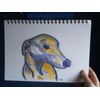 Fawn greyhound in pastel. A4 size. Original signed artwork.