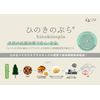 OSK PCL-8 Food Container, Hinoki Pura, Blue