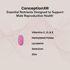 Theralogix ConceptionXR Reproductive Health Formula - Men's Preconception Vitamins for Fertility Support - Male Fertility Supplements for Sperm Health* - NSF Certified - 180 Tabs (90-Day Supply)