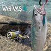 VARIVAS 4 Marking 300m No. 1