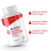 Blood Sugar Restore- Blood Support- 4 Bottles- 240 Capsules
