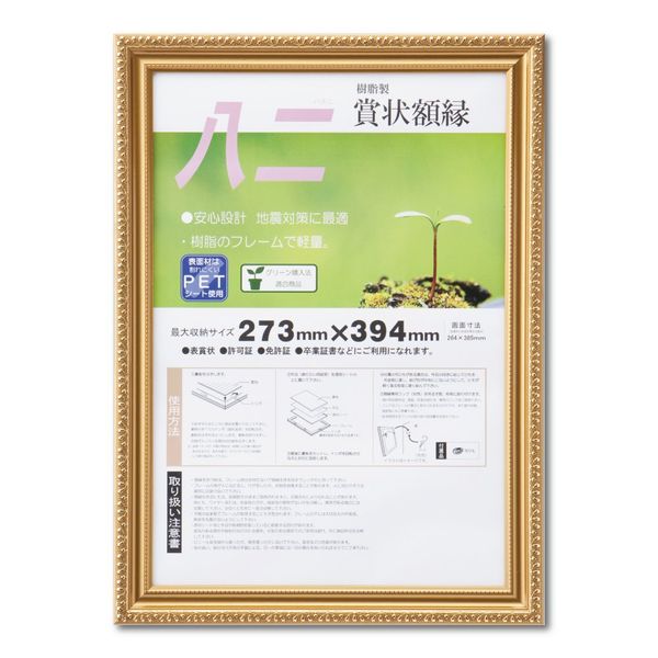 Daisen J045B3200 Picture Frame, Award Certificate, R 82, Resin Shrink Pack