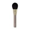 Ferriceratinone Teak Brush