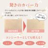 NATURACTOR Cover Foundation Spotscover concealer 20g (151)
