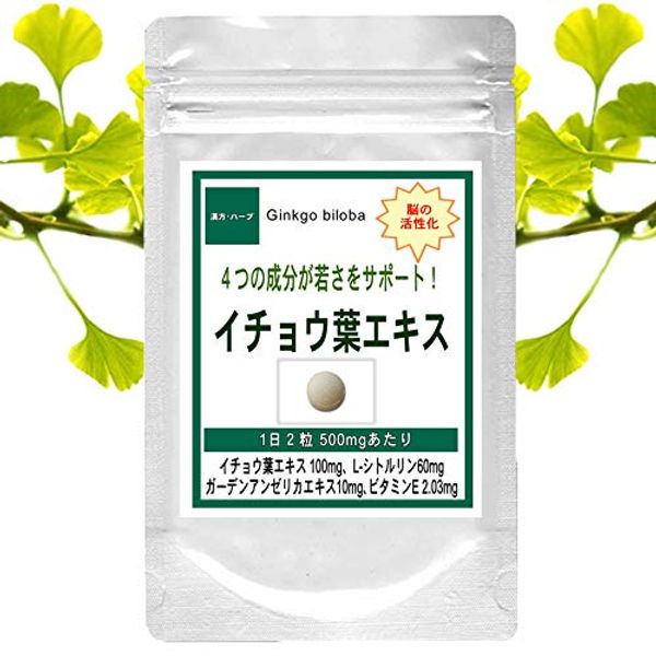 Ginkgo Biloba Extract (180 capsules (about 3 months))