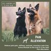 Hip & Joint Support Soft Chews For Dogs | Glucosamine & Chondroitin ( 60 Count )