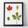 CraftStar Leaf Stencil Set - 5 Different Leaf templates on an A4 Sheet