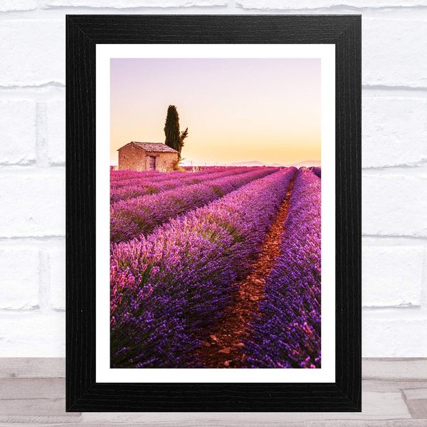 Lavender Fields Collection Design 3 Home Wall Art Print