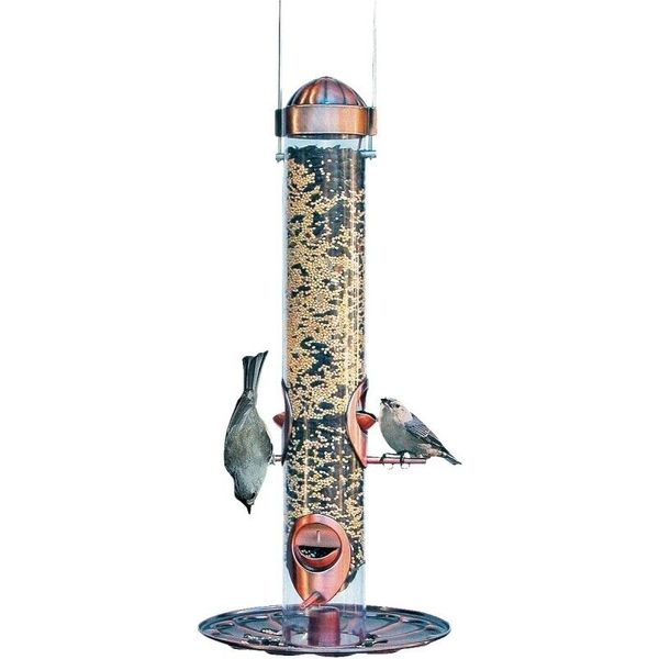 Woodstream Perky Pet 385-2 Wild Birdfeeder Copper Festival Seed Feeder 2146249