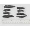 3 Pieces Large Black Kyanite Blades Premium Quality Chunky Natural Rough Wand 2" - 2.5"