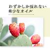 Natural Cosmetics Laboratory Organic Prickly Pear Oil 0.3 fl oz (10 ml)