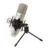 Tascam TM-80 – Condenser Microphone