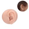 Body Piercing Practice Model Simulation Ear Model Soft Nose Tongue Model Silicone for Beginners (Medium Skin Color)