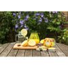 Citronella Party Lights