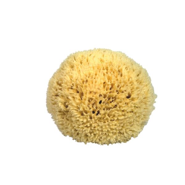 CROLL & DENECKE Naturschwamm, Natur, 27 cm