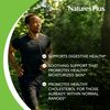 Natures Plus Lecithin 1200 MG Softgels 90