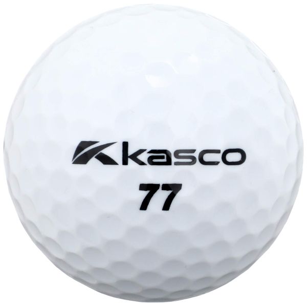 Casco DNA 2 Piece Ball White Golf Balls