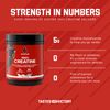 Six Star Elite 100% Creatine Monohydrate Powder | Unflavored (60 Servings)