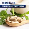 Vitamatic Andrographis Extract 1000 mg Per Serving - 120 Veg Capsules