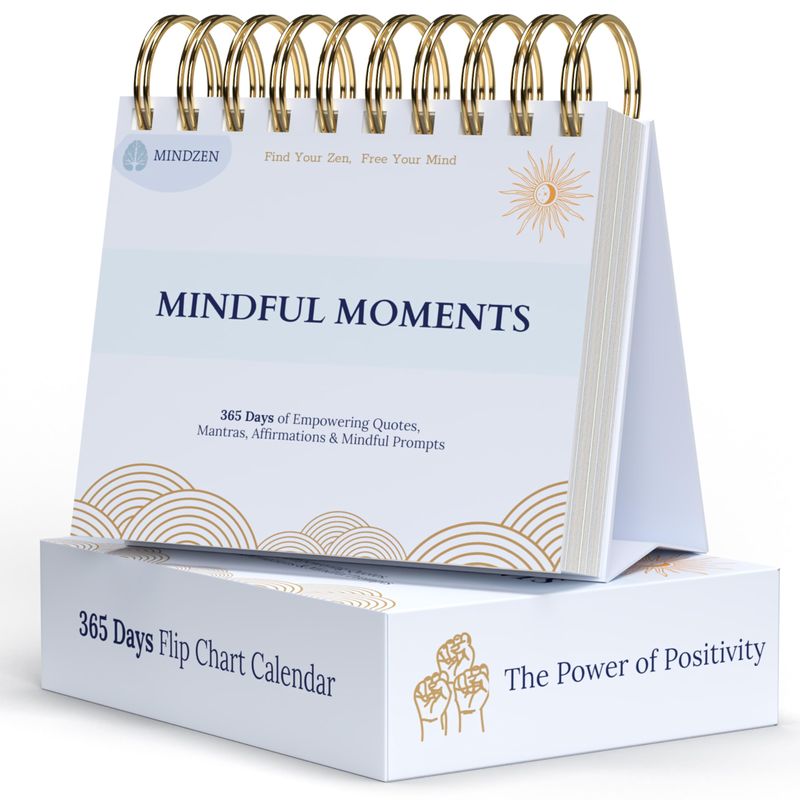 Mindzens Motivational Flip Chart Calendar | 365 Days of Positive ...