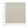 TANOSEE Eco Cardboard A3 450g/m2 1 Pack (100 Sheets) [x 2 Sets]