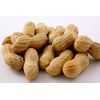 Gurley's Jumbo Peanuts In-Shell, Fire Roasted & Salted In Shell Peanut, Bulk ...