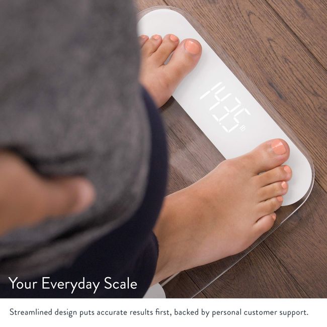 Greater Goods Digital AccuCheck Bathroom Scale for Body Weight, Designed in  St Louis, Ash Grey