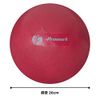 Sakurai Promark Gym Ball Level 2 Supervised by Ryuji Tachibana TPT0282 Diameter 26cm
