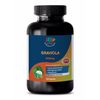 Adaptogenic Herbs Capsules - Graviola 650mg - Soursop 1B