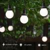 GOODSMANN Low Voltage Indoor String Lights 3800K 0.5W 45 Lumen Shatterproof