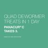 Chewable Quad Dewormer for Medium Dogs, 26-60 lbs, 2 chewable tablets