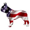 CafePress American Frenchie Rectangle Sticker Rectangle Bumper Sticker Car Decal
